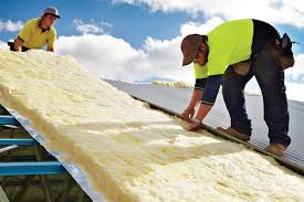 Best Insulation Removal  in USA